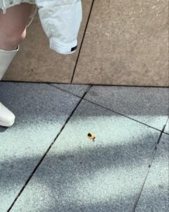 Cocomi Instagram - 2回目〜 ・ 映画観て、語りながら大盛りご飯とお肉を食べてという最高な日。帰ってからの練習も捗りました。 ・ 研磨が落ちるというアクシデントまで。 ・ めちゃかっこつけて飲み物持つやーん