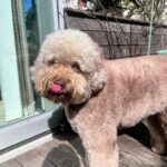 Cocomi Instagram – 最近のご馳走やその他もろもろ投稿🥰
・
冬は乾燥が天敵なので保湿多めで乗り切りましょう‼️
・
#diorsnow @diorbeauty
・
前髪伸びたなぁ💭
・
#小指長くないか姉さん