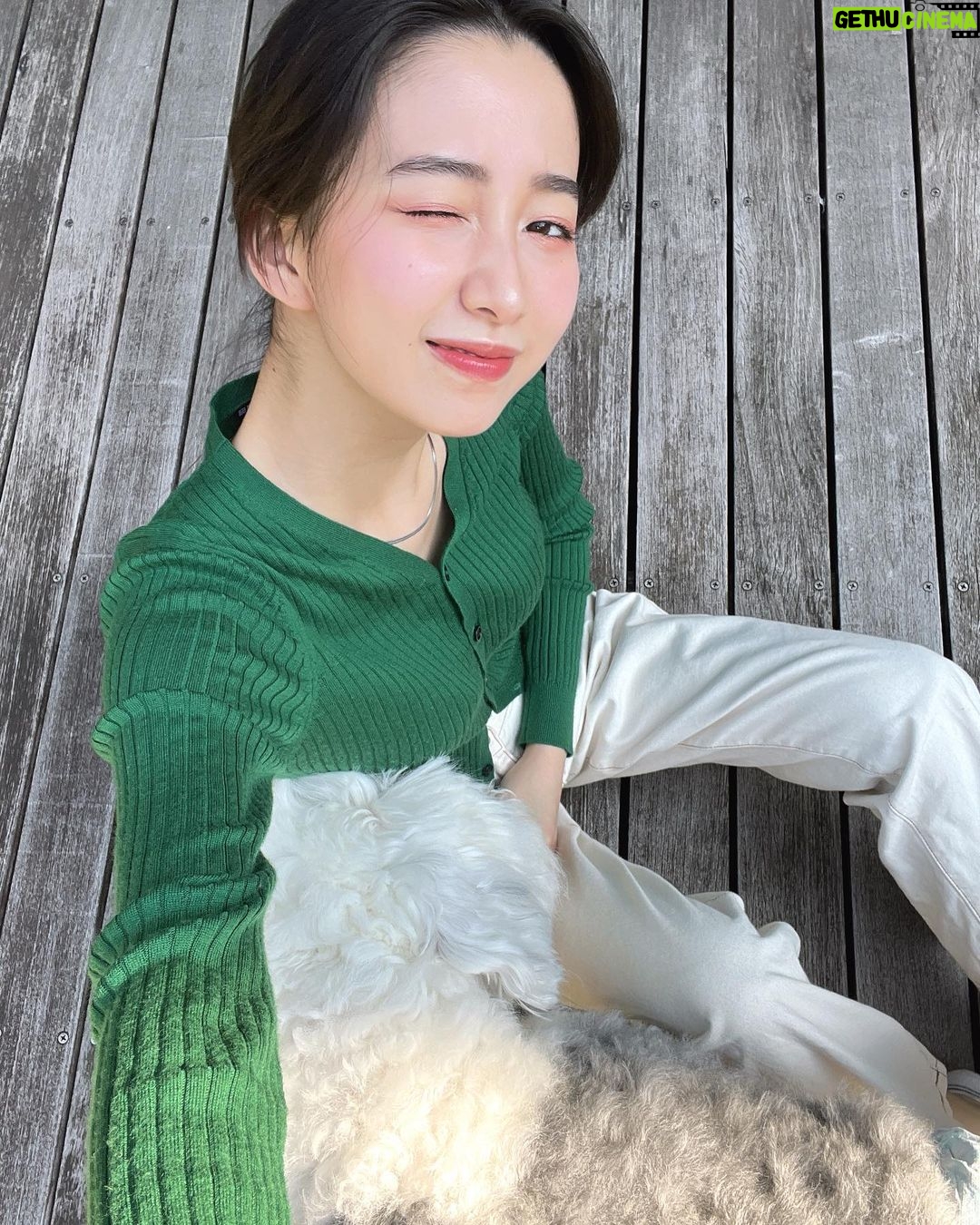 Cocomi Instagram - お庭でひーじーと戯れてます。 ・ @diorbeauty Diorのマキシマイザーで新しく好きな色を発見〜。ブルベさんに特にオススメです。👌🏼👌🏼✨ ・ 色: 035バーガンディー ・ 透明感ある紫ピンク。シュテキ。🥳