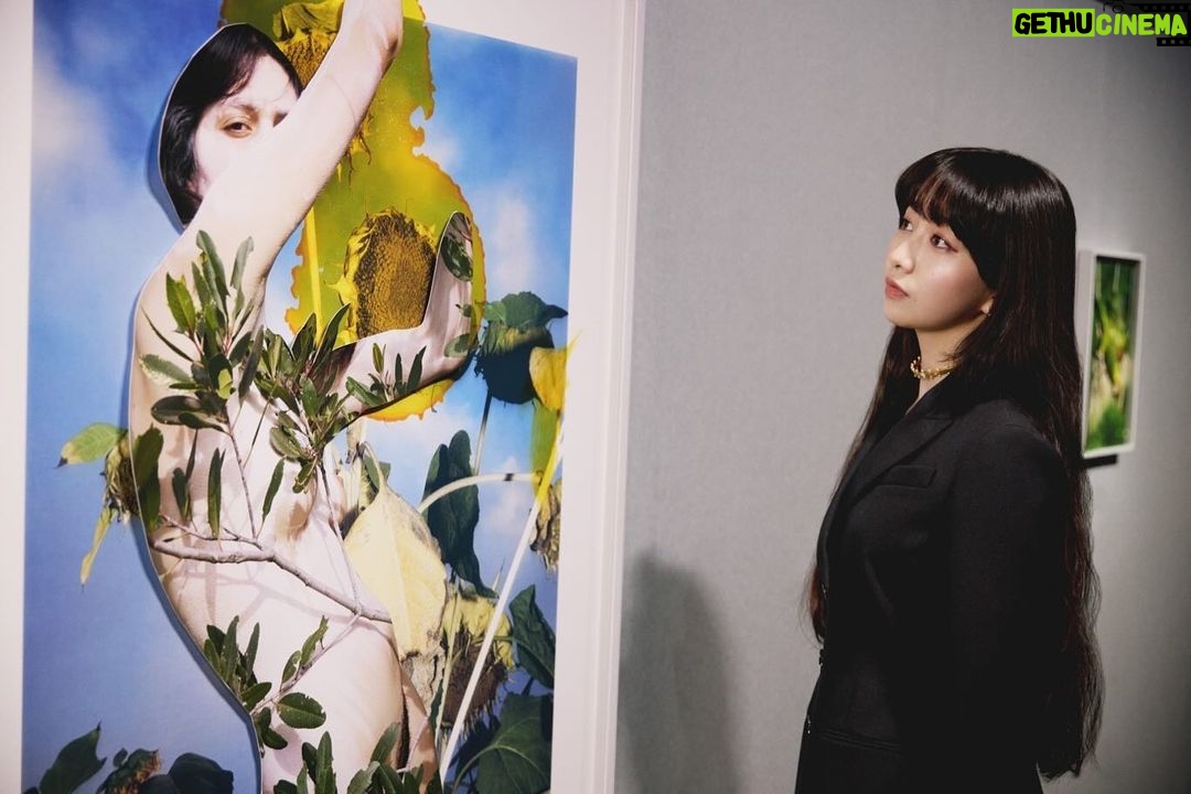 Cocomi Instagram - 「KYOTOGRAPHIE 京都国際写真祭 2024」内にて開催されているヴィヴィアン・サッセン展に行ってきました👀✨ ・ パルファン・クリスチャン・ディオールが主催する「アート オブ カラー展」「ディオール ヤング フォトグラフィー&ビジュアル アーツ アワード回顧展」も併設展として本展と共に5月12日まで開催中です‼️ ・ ヴィヴィアン サッセンさんご本人から説明を受けながら展示を見る時間が夢のようでした🥰 thank you so much @vivianesassenstudio @diorbeauty #kyotographie