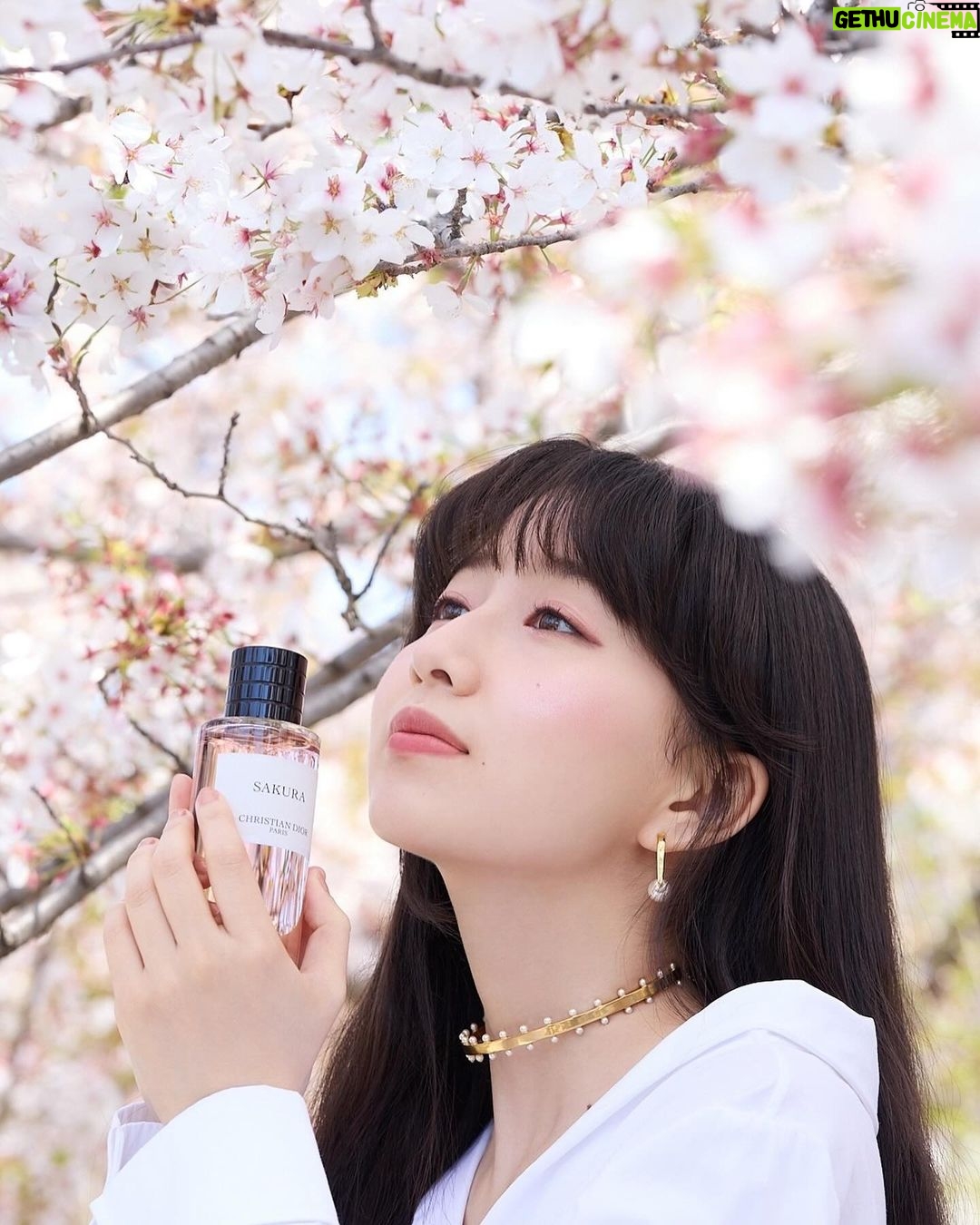Cocomi Instagram - ディオールのメゾン クリスチャン ディオール 「サクラ」を京都で撮影してきました‼️ 香りは桜の繊細な柔らかな花びらや、春から初夏にかけての爽やかさを感じました。桜花爛漫から葉桜になる瞬間の風を、香水にして閉じ込めたかのようでした。 是非皆さんもこの春、チェックしてみてください! @diorbeauty @dior #メゾンクリスチャンディオール #supportedbydior