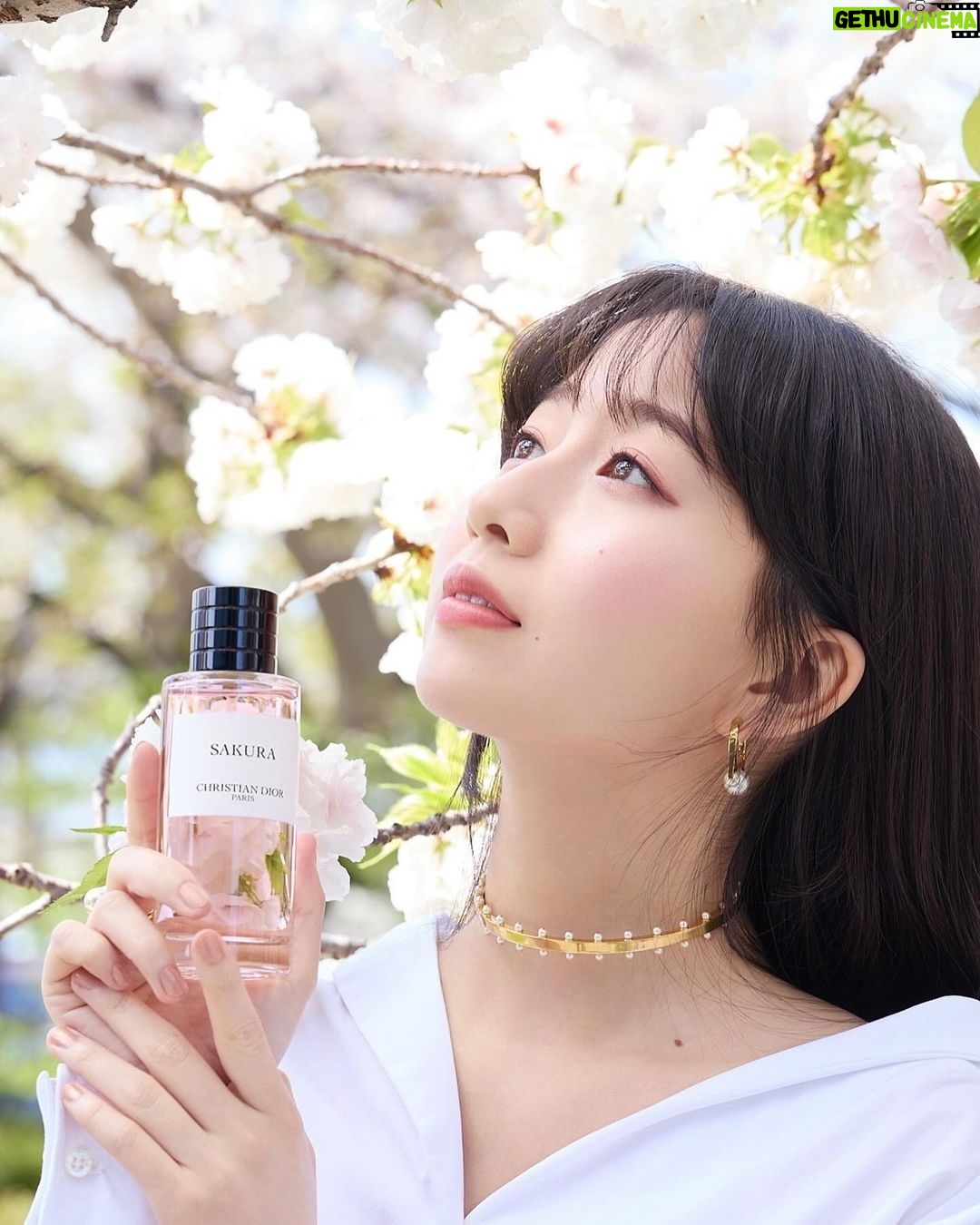 Cocomi Instagram - ディオールのメゾン クリスチャン ディオール 「サクラ」を京都で撮影してきました‼️ 香りは桜の繊細な柔らかな花びらや、春から初夏にかけての爽やかさを感じました。桜花爛漫から葉桜になる瞬間の風を、香水にして閉じ込めたかのようでした。 是非皆さんもこの春、チェックしてみてください! @diorbeauty @dior #メゾンクリスチャンディオール #supportedbydior