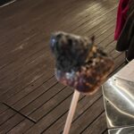 Cocomi Instagram - マシュマロ！親友はありえないほど焦がしてました。そしてそれを食べてました。怖い。楽しかったー