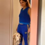 Connie Ballarini Instagram - Hoy es el día del animal … ❤️India- Troya- Egipto ❤️ celebro y agradezco tenerlos en mi vida… ellos hacen que mi vida sea más hermosa, ellos logran abstraerme del mundo, logran cambiarme la energía, sacarme sonrisas en días tristes, lograron despertar en mi un amor que no sabía q existía y tenerlos cerquita me genera una paz increíble Amo buscar fotos de ellos y q difícil hacer selección xq tengo tantas y son tan bellos mis hijas/o… Aprovecho para contarles cómo llegaron a mi vida: India… apareció en un momento muy particular de mi vida. A mi no se me cruzaba por la cabeza tener un perro, pero mi pareja de ese momento quería un perro y Justo la hermana de una amiga de mi cuñada no podía tener más a India xq viajaba mucho… Me dio con año y medio… y al mes de llegar a casa me separo de ese novio. Quedamos solas y fue ( y es ) todo para mi. Ella me enseño a maternar, ella me hizo mamá. Había tenido otros perros pero eran ‘los perros de la familia’, ella era mi familia. Lo que la amo no lo puedo explicar. 📸 les comparto una formo hermosa q me sacó Nahuel un amigo fotógrafo cuando era chiquita y como siempre tan fotogénica ella no podes ni sacarle fotos y otra foto de su primera vez, miren esa cara de placer mientras le están choponeando de lo lindo 😂 📹 Un video de sus primeras salidas siempre caprichosa y eso hace q la ame más! Ahí paseando conmigo y su tia @monicatepfer Otro video de cuando @fedesimonetti la llevo a conocer el mar. Ay me mata de amor como se aman y amo q lo ame mas a Fede q a mi 😂 TROYA La perra más buena y dulce que conozco y cagona tb… el miedo q le tiene a la lluvia por favor ! Amo lo distinta q es a India Ella era la perra de mi mamá y pasaba mucho tiempo en la casa de mi abuela con las señoras q la cuidaban. En un viaje de mi vieja me la quedé, le hice chequeos c mi veterinaria Lau q amo… de @veterinaria.manoba nos dimos cuenta de casualidad que tenia un tumor, se lo sacamos a tiempo y x suerte esta todo bien. Nos dimos cuenta que ella acá estaba acompañada con otros animalitos q eso le hacía bien y que encontró en nosotros una familia. Así que pensando en lo mejor p ella se quedó en casa 🏠. Sigue abajo en comentarios 👇🏽