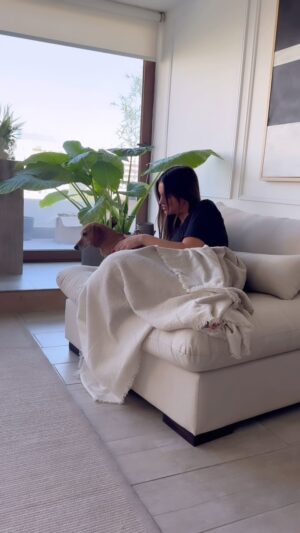 Constanza Piccoli Instagram - Mis mañanas suenan y se ven así! Con mis 🐶 🐶, café y mi sillón @deco_gar 🫶🏻🥰

SITIAL TURE 
Es un sitial extra Soft con una profundidad de 1.10 metros y 1.10 de ancho , se caracteriza por ser extremadamente cómodo 😏

Se realiza en lino / algodón / terciopelo
