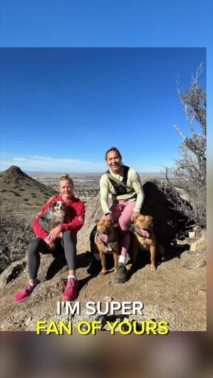 Cristiane Justino Instagram - Now that I’ve trained at Altitude in New Mexico I understand why all the @jacksonwink_mma fighters have such great cardio! Go all access and see what training is like on my latest @onlyfans and @watchoftv Video blog
🇧🇷🇧🇷🇧🇷🇧🇷🇧🇷🇧🇷
Agora que treinei no Altitude, no Novo México, entendo porque todos os lutadores do @jwworldwide_sports mma têm um cardio tão bom! Acesse todos os acessos e veja como é o treinamento no meu último videoblog OFTV