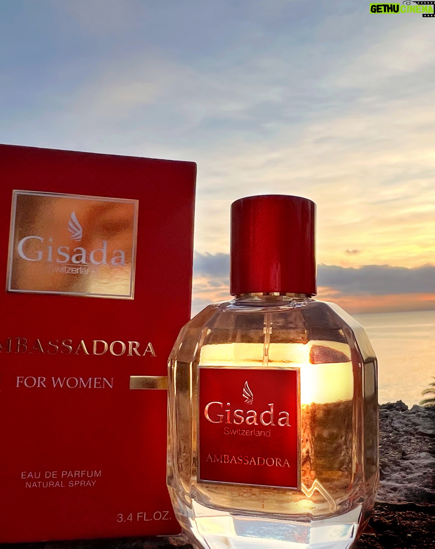 Cristinini Instagram - Si estás buscando qué regalar estas navidades 🎄, los perfumes de @gisadaofficial son una apuesta segura. Una fragancia suave y que no me puede encantar más. la puedes encontrar en @douglascosmetics_es. ¿La pruebas y me cuentas? 😉 #Gisada #Ambassador #Douglas #publi
