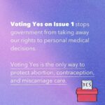 Cyndi Lauper Instagram - 🔁 @ppswohio Thanks to our friends @ppaohio for explaining Issue 1 🌠 Swipe through for the details on Issue 1, which would stop Ohio's extreme abortion ban and put Ohioans back in charge of their personal health care and reproductive decisions. Cast your vote by November 7th 🗳️ Early voting times and locations can be found at VoteOhio.gov #voteyesonissue1 #ohio