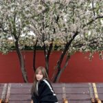 Cyndi Wang Instagram - 和姐妹、好友ㄧ起❤️ 在北京吃美食、City walk 開心🥳 #王心凌 #CyndiWang #北京