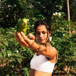 Cynthia Aparecida Instagram - Dia da maior floresta tropical do planeta: AMAZÔNIA ✨ 1- Você sabia que somos a última geração que pode salvar a Amazônia e que você pode ajudar a floresta continuar em pé sem levantar do sofá? assine @amazoniadepe_ 🌳✨💚 2- Você sabia que os povos indígenas representam apenas 5% da população mundial e são responsáveis por preservar 82% da biodiversidade do planeta ? 3.1 <- Você sabia que 80% dos brasileiros querem que a Amazônia seja uma prioridade dos candidatos à presidência em 2022? 4- Você sabia que das espécies que a Amazônia abriga 95% ja foram afetadas pelas queimadas? 5- sabia que 18 árvores tombam por SEGUNDO na Amazônia? 6- sabia que em agosto deste ano houveram mais queimadas que no últimos 12 anos juntos? Hoje é dia de celebrar mas também de conscientizar. Então, já que hj é dia da maior reserva de água doce do planeta quero te fazer um convite: Bora pensar em mais soluções e em menos consumo? Quantas coisas e possibilidades podemos criar com aquilo que nós já temos? Quantas partes da nossa vida sendo vivida na terra podem ser reinventadas? Mudadas? Melhoradas? O que a gente pode fazer pra ajudar? Ainda dá tempo da gente melhorar o nosso futuro, cuidando AGORA da maior riqueza desse planeta. Vamos juntos? 🌳✨💚🌎