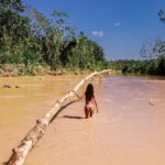 Cynthia Aparecida Instagram - Dia da maior floresta tropical do planeta: AMAZÔNIA ✨ 1- Você sabia que somos a última geração que pode salvar a Amazônia e que você pode ajudar a floresta continuar em pé sem levantar do sofá? assine @amazoniadepe_ 🌳✨💚 2- Você sabia que os povos indígenas representam apenas 5% da população mundial e são responsáveis por preservar 82% da biodiversidade do planeta ? 3.1 <- Você sabia que 80% dos brasileiros querem que a Amazônia seja uma prioridade dos candidatos à presidência em 2022? 4- Você sabia que das espécies que a Amazônia abriga 95% ja foram afetadas pelas queimadas? 5- sabia que 18 árvores tombam por SEGUNDO na Amazônia? 6- sabia que em agosto deste ano houveram mais queimadas que no últimos 12 anos juntos? Hoje é dia de celebrar mas também de conscientizar. Então, já que hj é dia da maior reserva de água doce do planeta quero te fazer um convite: Bora pensar em mais soluções e em menos consumo? Quantas coisas e possibilidades podemos criar com aquilo que nós já temos? Quantas partes da nossa vida sendo vivida na terra podem ser reinventadas? Mudadas? Melhoradas? O que a gente pode fazer pra ajudar? Ainda dá tempo da gente melhorar o nosso futuro, cuidando AGORA da maior riqueza desse planeta. Vamos juntos? 🌳✨💚🌎