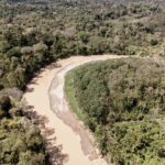 Cynthia Aparecida Instagram - Dia da maior floresta tropical do planeta: AMAZÔNIA ✨ 1- Você sabia que somos a última geração que pode salvar a Amazônia e que você pode ajudar a floresta continuar em pé sem levantar do sofá? assine @amazoniadepe_ 🌳✨💚 2- Você sabia que os povos indígenas representam apenas 5% da população mundial e são responsáveis por preservar 82% da biodiversidade do planeta ? 3.1 <- Você sabia que 80% dos brasileiros querem que a Amazônia seja uma prioridade dos candidatos à presidência em 2022? 4- Você sabia que das espécies que a Amazônia abriga 95% ja foram afetadas pelas queimadas? 5- sabia que 18 árvores tombam por SEGUNDO na Amazônia? 6- sabia que em agosto deste ano houveram mais queimadas que no últimos 12 anos juntos? Hoje é dia de celebrar mas também de conscientizar. Então, já que hj é dia da maior reserva de água doce do planeta quero te fazer um convite: Bora pensar em mais soluções e em menos consumo? Quantas coisas e possibilidades podemos criar com aquilo que nós já temos? Quantas partes da nossa vida sendo vivida na terra podem ser reinventadas? Mudadas? Melhoradas? O que a gente pode fazer pra ajudar? Ainda dá tempo da gente melhorar o nosso futuro, cuidando AGORA da maior riqueza desse planeta. Vamos juntos? 🌳✨💚🌎