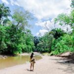 Cynthia Aparecida Instagram - Dia da maior floresta tropical do planeta: AMAZÔNIA ✨ 1- Você sabia que somos a última geração que pode salvar a Amazônia e que você pode ajudar a floresta continuar em pé sem levantar do sofá? assine @amazoniadepe_ 🌳✨💚 2- Você sabia que os povos indígenas representam apenas 5% da população mundial e são responsáveis por preservar 82% da biodiversidade do planeta ? 3.1 <- Você sabia que 80% dos brasileiros querem que a Amazônia seja uma prioridade dos candidatos à presidência em 2022? 4- Você sabia que das espécies que a Amazônia abriga 95% ja foram afetadas pelas queimadas? 5- sabia que 18 árvores tombam por SEGUNDO na Amazônia? 6- sabia que em agosto deste ano houveram mais queimadas que no últimos 12 anos juntos? Hoje é dia de celebrar mas também de conscientizar. Então, já que hj é dia da maior reserva de água doce do planeta quero te fazer um convite: Bora pensar em mais soluções e em menos consumo? Quantas coisas e possibilidades podemos criar com aquilo que nós já temos? Quantas partes da nossa vida sendo vivida na terra podem ser reinventadas? Mudadas? Melhoradas? O que a gente pode fazer pra ajudar? Ainda dá tempo da gente melhorar o nosso futuro, cuidando AGORA da maior riqueza desse planeta. Vamos juntos? 🌳✨💚🌎
