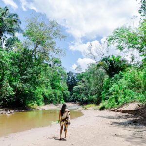 Cynthia Aparecida Instagram - Dia da maior floresta tropical do planeta: AMAZÔNIA ✨

1- Você sabia que somos a última geração que pode salvar a Amazônia e que você pode ajudar a floresta continuar em pé sem levantar do sofá? assine @amazoniadepe_ 🌳✨💚

2- Você sabia que os povos indígenas representam apenas 5% da população mundial e são responsáveis por preservar 82% da biodiversidade do planeta ?

3.1 <- Você sabia que 80% dos brasileiros querem que a Amazônia seja uma prioridade dos candidatos à presidência em 2022?

4- Você sabia que das espécies que a Amazônia abriga 95% ja foram afetadas pelas queimadas?

5- sabia que 18 árvores tombam por SEGUNDO na Amazônia? 

6- sabia que em agosto deste ano houveram mais queimadas que no últimos 12 anos juntos? 

Hoje é dia de celebrar mas também de conscientizar.

Então, já que hj é dia da maior reserva de água doce do planeta  quero te fazer um convite: Bora pensar em mais soluções e em menos consumo? 

Quantas coisas e possibilidades podemos criar com aquilo que nós já temos? Quantas partes da nossa vida sendo vivida na terra podem ser reinventadas? Mudadas? Melhoradas? O que a gente pode fazer pra ajudar?

Ainda dá tempo da gente melhorar o nosso futuro, cuidando AGORA da maior riqueza desse planeta.

Vamos juntos? 🌳✨💚🌎