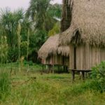 Cynthia Aparecida Instagram – Uns dias atrás eu compartilhei aqui algumas imagens da experiência mais profunda de autoconhecimento que já vivi na floresta. 

No dia seguinte quando acordei Deus me disse a seguinte frase: “filha, nem todo mundo está apto pra conhecer a verdade”

E ai, lembrei de uma vez na palestra da @profluciahelenagalvao onde ela disse algo que me marcou: 

 “Precisamos ter critério para quem passar conhecimento. Vocês não acham que conhecimento dá poder? E se você coloca conhecimento na mão errada? Isso não é perigoso?”

conhecimento é como um quebra-cabeça e hoje entendo a importância de existirem várias partes escondidas por aí… 

É com esse cuidado e essa cautela que venho dando esses primeiros passos com meu compartilhar sobre as sabedorias da floresta aqui no Instagram.

Aqui, tenho feito convites que poucos vão ouvir

nos stories de hoje,
convido você pro meu grupo no WhatsApp 
onde realizo trocas profundas e promovo encontros sobre temas curiosos que eu não abro aqui. 

você ouve?
vem gritar comigo