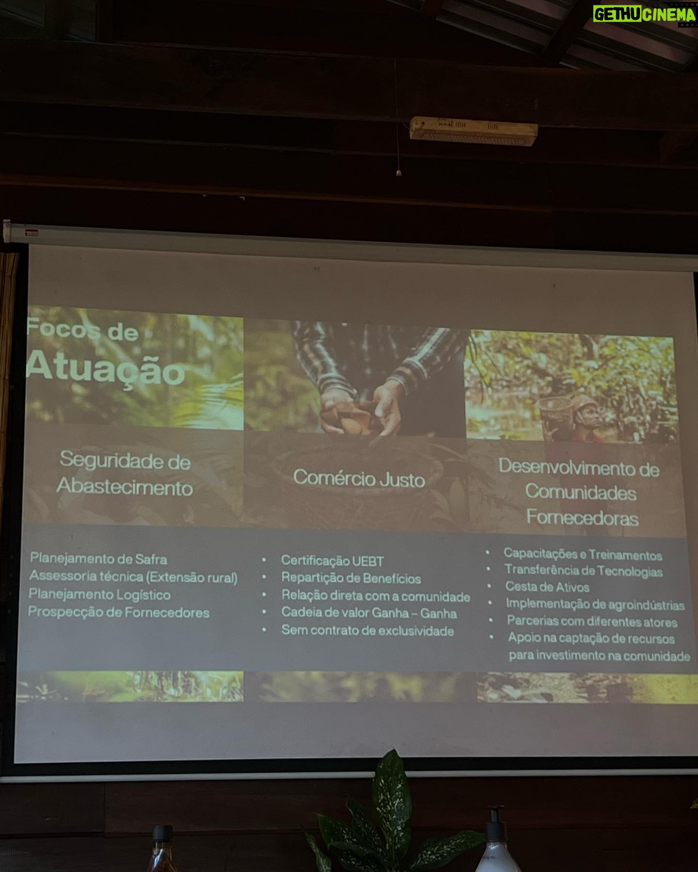 Cynthia Aparecida Instagram - Você sabia que já é possível consumir um produto de beleza e ao mesmo tempo manter a floresta viva e de pé? Vim a convite da @naturabroficial para a comunidade do Tumbira, viver uma experiência dentro da floresta amazônica e conhecer melhor o modelo de negócio que criou a linha Natura EKOS. A Natura uniu a CIÊNCIA e a NATUREZA e criou um modelo de negócio que gera renda enquanto mantém a floresta em pé. Toda alinha Natura Ekos é feita de produtos com bio-ativos renováveis. O que isso quer dizer? Quer dizer que a @naturabroficial estuda o solo, junto às comunidades locais, e desenvolve uma cadeia produtiva que compensa os impactos negativos pela extração, respeitando assim os ciclos e a regeneração das plantas e do solo. Foi muito mágico ver os bioativas de perto como a castanha, tucumã, açaí e andiroba durante esta experiência. Além de naturais, veganos e com bio ativos da Amazônia extraídos praticando um comércio justo com comunidades guardiãs da floresta, os produtos também são de alta performance e servem também como produtos de tratamento. O que eu aprendi nessa experiência aqui em Tumbira foi que não tem mais como pensar em consumir a TERRA sem pensar em #amazôniaviva , né galera? Pra mim a nova moda é ficar bonita mas com consciência. 🌳✨💚 #transbordeamazonia PUBLICIDADE