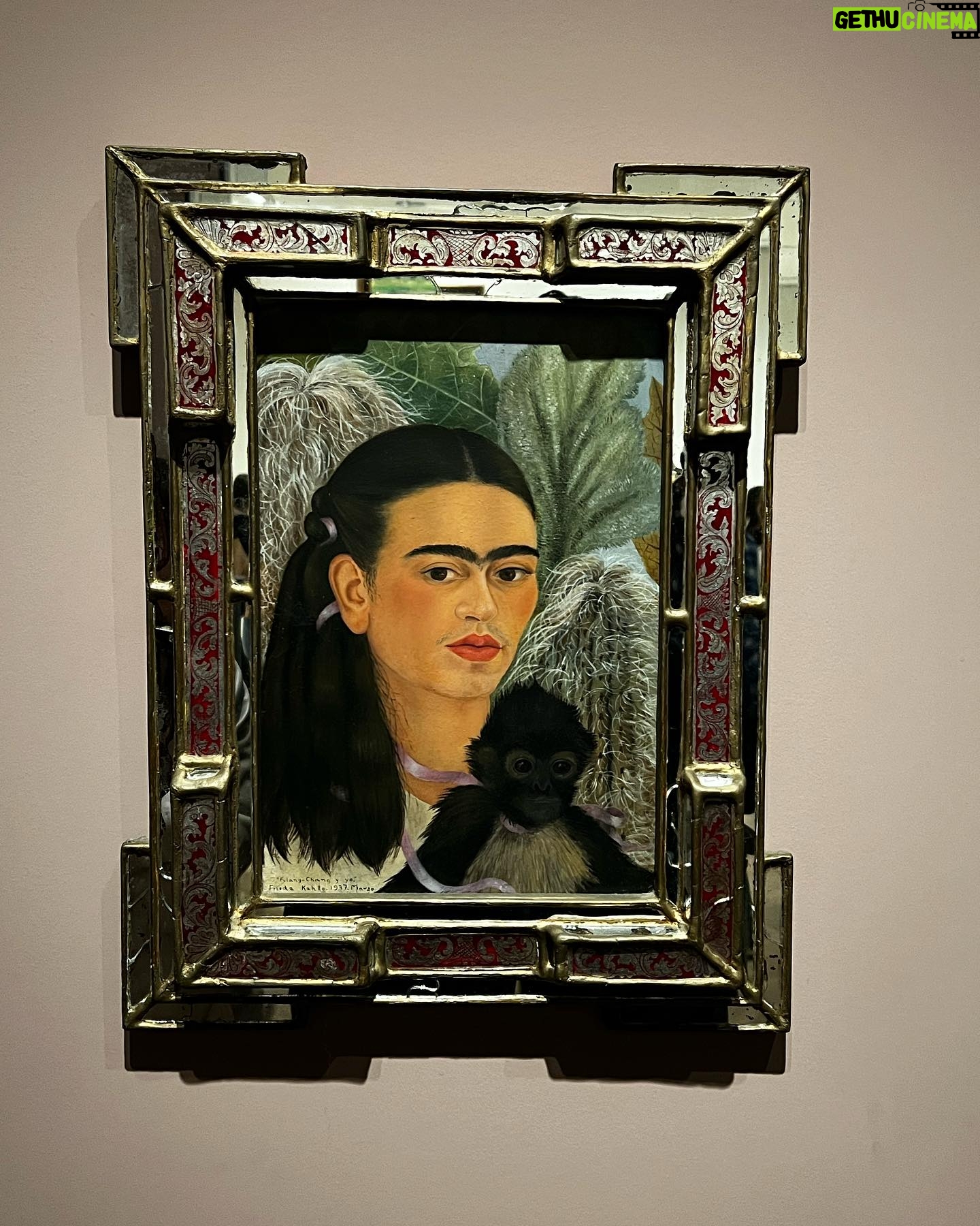 Cynthia Klitbo - 1.6K Likes - @huicocheatv @elisaklitbo_ Uf que rico ver a mi bb disfrutar el museo