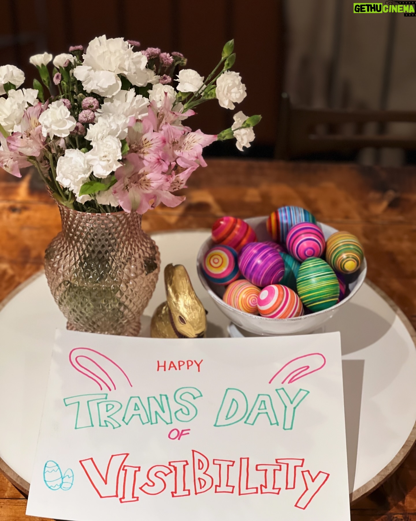 Cynthia Nixon Instagram - Happy Trans Day of Visibility everyone, please enjoy these homemade Easter eggs! 🏳️⚧️🐰🐣