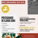 Débora Bloch Instagram - Fiz minha doação a esse grupo de mulheres que trabalham na periferia de Porto Alegre para ajudar as vítimas do Rio Grande do sul. Doe o que puder! @themis.org.br
