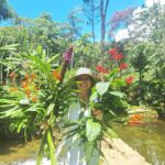 Débora Bloch Instagram – #blogueirinhadanatureza 
colhendo flores do jardim 🌷🌷🌷