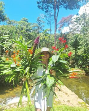 Débora Bloch Instagram - #blogueirinhadanatureza 
colhendo flores do jardim 🌷🌷🌷