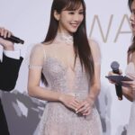 Dada Chan Instagram – The 17th Asian Film Awards 
第十七屆亞洲電影大獎 

Make up: @bubuumakeup 
Hair: @jackjack_hung @dazzlehairsalon_ 
Dress: @theweddinggown_official @inbaldrorofficial 
nail: @luxenail 
Ring: @crisathena_paris