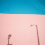 Dafne Keen Instagram - LA & NYC recap: tree in bloom, the goodest boy waiting in a car, skyscrapers, wall with shadows, traffic view from my flat, woman walking through a tunnel, a shop downtown, ash singing her heart out, Mandos hair after we took her braids out