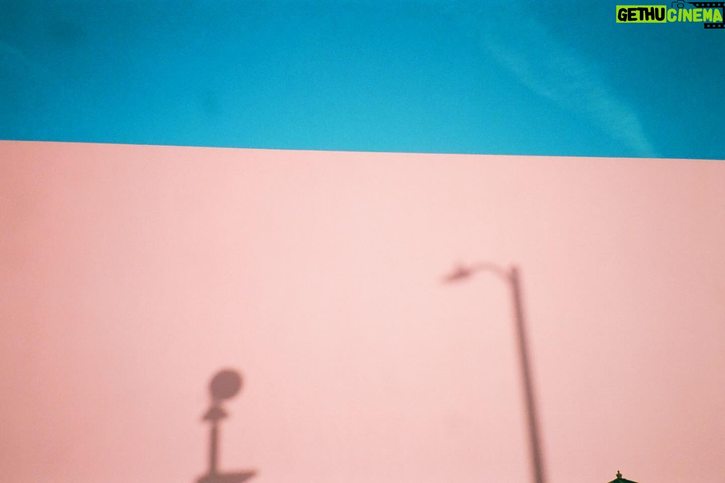 Dafne Keen Instagram - LA & NYC recap: tree in bloom, the goodest boy waiting in a car, skyscrapers, wall with shadows, traffic view from my flat, woman walking through a tunnel, a shop downtown, ash singing her heart out, Mandos hair after we took her braids out