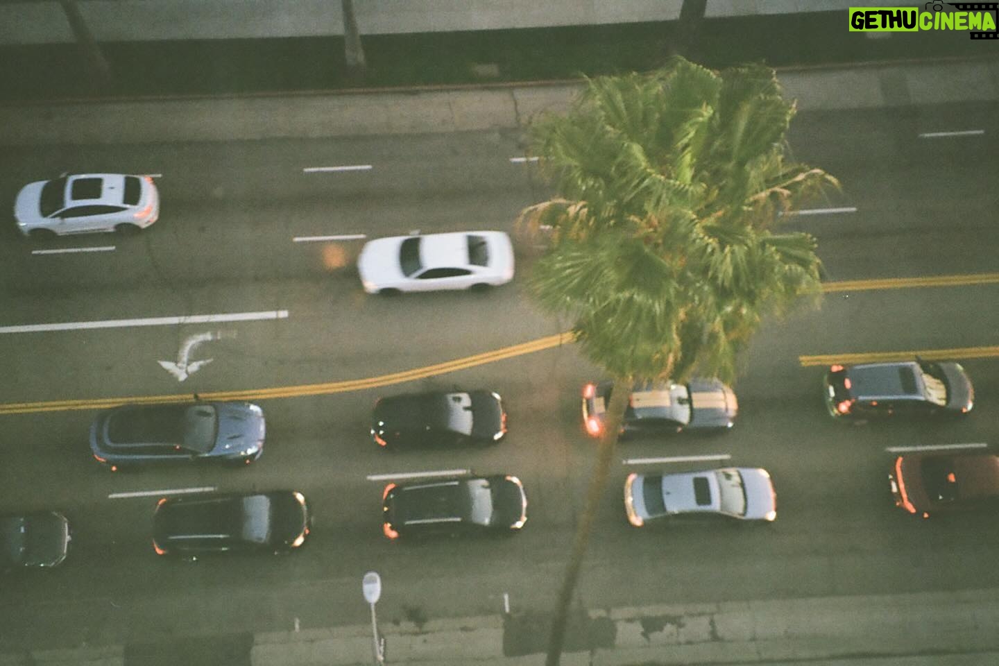 Dafne Keen Instagram - LA & NYC recap: tree in bloom, the goodest boy waiting in a car, skyscrapers, wall with shadows, traffic view from my flat, woman walking through a tunnel, a shop downtown, ash singing her heart out, Mandos hair after we took her braids out
