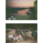 Dafne Keen Instagram - Some moments from this summer. #35mm