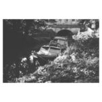 Dafne Keen Instagram - Some moments from this summer. #35mm