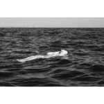 Dafne Keen Instagram - Some B&W shots I took on a boat trip a couple days ago
