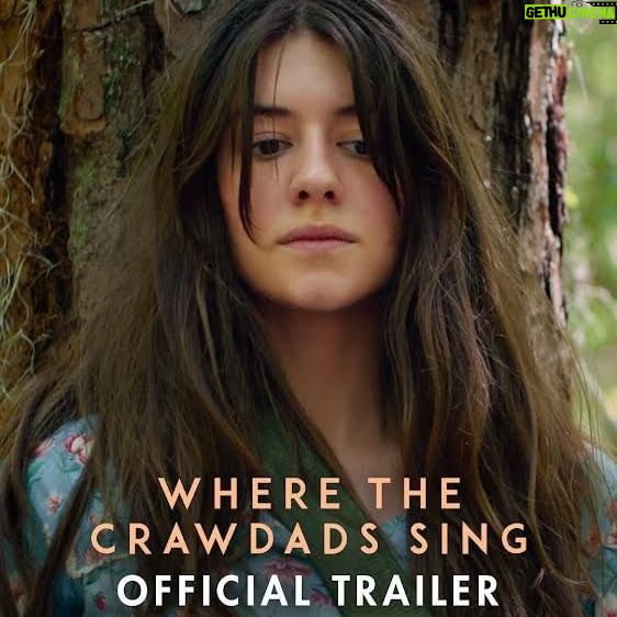 Daisy Edgar-Jones Instagram - My heart is so full π Where The Crawdads Sing, featuring an original song from @taylorswift Exclusively in movie theaters July. πΏπͺΆ@CrawdadsMovie #CrawdadsMovie