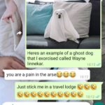 Daisy May Cooper Instagram - Part 5