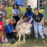 Dalila Bela Instagram – Was on the picket line today with these amazing women, @naledijackson, @helenjohns00, @demandatension, @borelcorp, and @shernfern!!!

#wgastrong #wgastrike #sagaftrastrong #sagaftrastrike