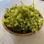 Dalila Bela Instagram – Some grapes I just picked from my backyard!!
Also, go give my first single “Stay” a listen!!!! It’s out on @spotify and @applemusic now!!!