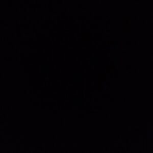 Dalila Bela Instagram - #blackouttuesday