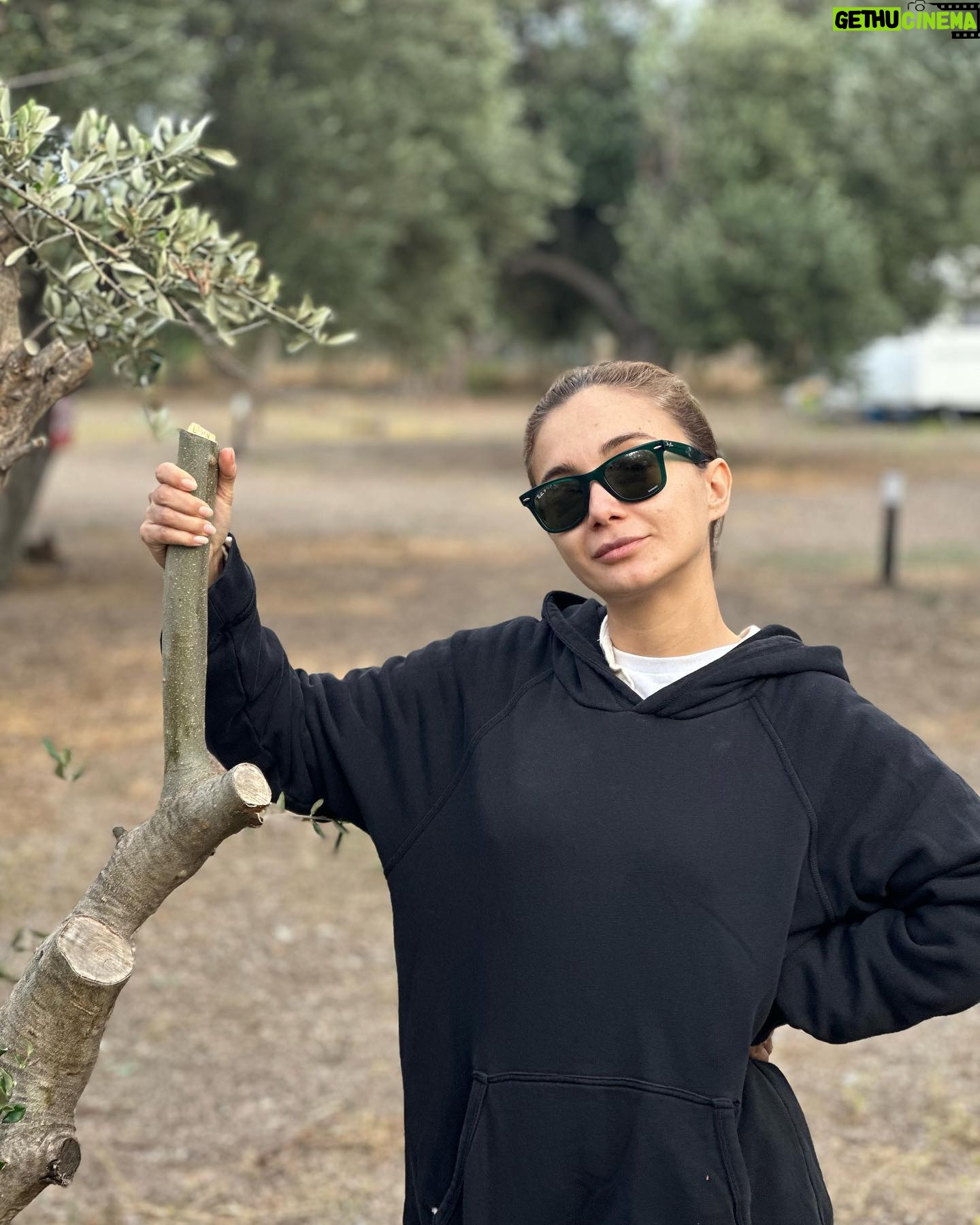 Damla Sönmez Instagram - Zeyzeyzeytintintin en sevdiğim 🌳🤍