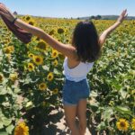 Damlasu İkizoğlu Instagram - 🌻