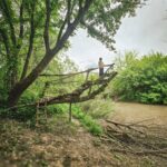 Dana Rogoz Instagram – Alte fotografii de ieri, din prima parte a zilei, cand am găsit un loc perfect pentru picnic, pe malul apei.