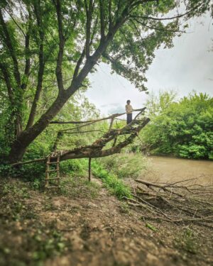 Dana Rogoz Instagram - Alte fotografii de ieri, din prima parte a zilei, cand am găsit un loc perfect pentru picnic, pe malul apei.