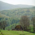 Dana Rogoz Instagram – O sa va para greu de crezut, dar nu am avut in plan niciun traseu anume cand ne-am pornit la drum, in aceasta vacanta cu autorulota prin tara. Dar ce locuri minunate ne-au ieșit in cale!