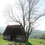Dana Rogoz Instagram – O sa va para greu de crezut, dar nu am avut in plan niciun traseu anume cand ne-am pornit la drum, in aceasta vacanta cu autorulota prin tara. Dar ce locuri minunate ne-au ieșit in cale!