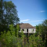 Dana Rogoz Instagram - 122/366 1 Mai 2024 - cand casa de la Viscri era în plina renovare, iar noi faceam un picnic în curtea ei. De neuitat.