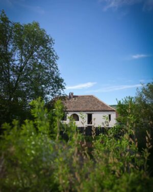 Dana Rogoz Instagram - 122/366 1 Mai 2024 - cand casa de la Viscri era în plina renovare, iar noi faceam un picnic în curtea ei. De neuitat.