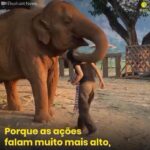 Dani Moreno Instagram - As ações falam mais alto. Ao falar sobre amor incondicional, o seu vai até onde? Ou até quem? Todos os anos 80 bilhões de animais terrestres são mortos pela indústria. Toneladas e toneladas de animais aquáticos também. Somos 8 bilhões de seres humanos hoje no planeta e essa conta não fecha. Não faz sentido… Entenda que a diferença entre seu pet e outro ser vivo é a distância entre você e o matadouro. Eu sei que incomoda ler isso, mas sei também que em algum momento, essa mensagem vai tocar seu coração e te fazer entender que fazemos parte de um ecossistema e não de um sistema do ego. Que haja amor e paz. E que comecem por você. 💚