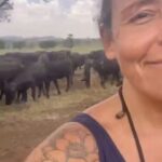Dani Moreno Instagram - Essa é a ÚLTIMA chance das búfalas de Brotas. Vc pode ajudar? @ahimsa.santuariovaledarainha @yoga.valedarainha #bufalas #bufalasdebrotas #valedarainha #govegan