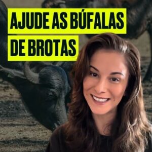 Dani Moreno Instagram - Comente "búfalas" para receber o link de inscrição!🐃 #AjudeAsBúfalasDeBrotas

A Geração Vegana vai doar 1 dólar para os santuários @ahimsa.santuariovaledarainha e @ranchodosgnomos por cada inscrição em um de seus programas gratuitos sobre veganismo. Incrível, né? 🌱

Ao se inscrever, você vai receber newsletters diárias, pelo tempo que escolheu, recheadas de conteúdo sobre veganismo, com muita informação, receitas, dicas e muito mais! E o melhor: é de graça!

⚡ 🐃 Comente "búfalas" e receba o link para se inscrever gratuitamente.

#ParaTodesVerem: Dani Moreno é uma mulher branca de cabelo loiro escuro, veste uma camiseta preta escrito “vegan”. O vídeo também mostra imagens das búfalas de Brotas.

#Veganismo #Búfalas #AmoAnimais #AmorAosAnimais #BúfalasDeBrotas
