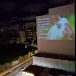 Dani Moreno Instagram – Nessa Páscoa, aconteceu uma ação nacional pra o fim dos testes em animais para cosméticos no Brasil. O coelho que é o símbolo dessa data, é um dos animais mais usados em laboratórios para testar produtos. 

Há 10 anos organizações e personalidades que lutam pelos direitos animais tentam aprovar uma lei que acabe com os testes e agora é a retal final. Precisamos votar o Projeto de Lei 3062/2022 para proibir TODOS os testes. O Projeto de Lei já foi aprovado anteriormente no Senado, e está pronto para ir ao Plenário da Câmara dos Deputados. O próximo passo é que o presidente da Câmara, Arthur Lira, coloque o PL em votação. 

E você pode ajudar! Reposte nos seus stories e marque @oficialarthurlira pedindo para colocar o PL 3062/2022 em votação! 

#direitosanimais #testesemanimais #arthurlira