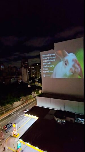Dani Moreno Instagram - Nessa Páscoa, aconteceu uma ação nacional pra o fim dos testes em animais para cosméticos no Brasil. O coelho que é o símbolo dessa data, é um dos animais mais usados em laboratórios para testar produtos. 

Há 10 anos organizações e personalidades que lutam pelos direitos animais tentam aprovar uma lei que acabe com os testes e agora é a retal final. Precisamos votar o Projeto de Lei 3062/2022 para proibir TODOS os testes. O Projeto de Lei já foi aprovado anteriormente no Senado, e está pronto para ir ao Plenário da Câmara dos Deputados. O próximo passo é que o presidente da Câmara, Arthur Lira, coloque o PL em votação. 

E você pode ajudar! Reposte nos seus stories e marque @oficialarthurlira pedindo para colocar o PL 3062/2022 em votação! 

#direitosanimais #testesemanimais #arthurlira